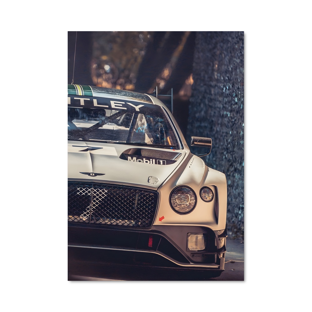 Poster Évasion Blanc